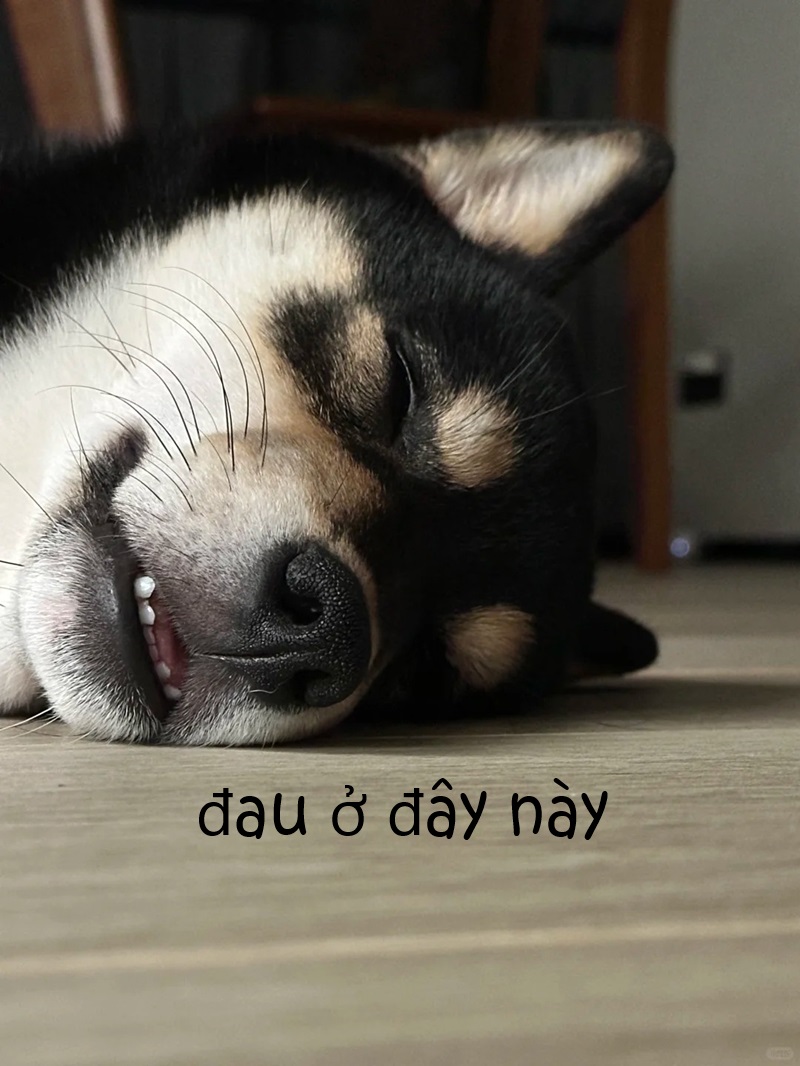 meme đau ở đây này 10