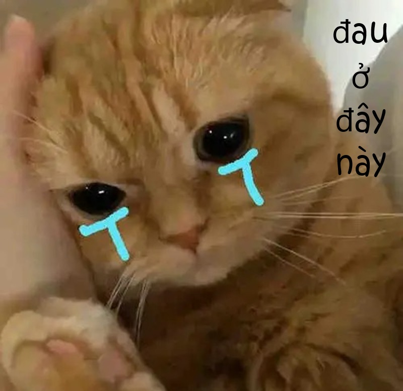 meme đau ở đây này 11