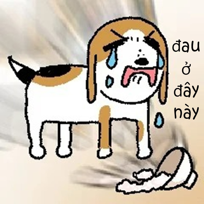 meme đau ở đây này 15