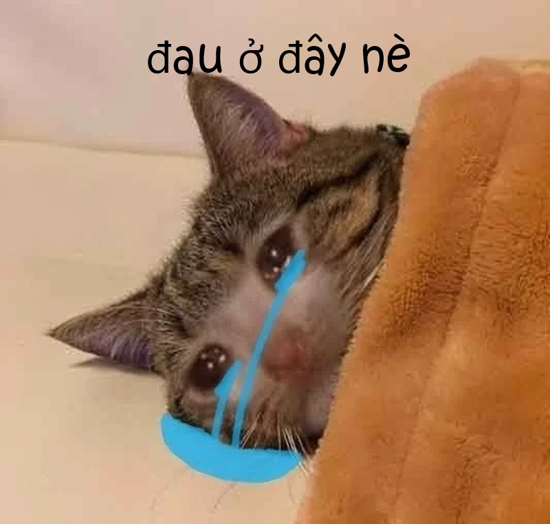 meme đau ở đây này 16