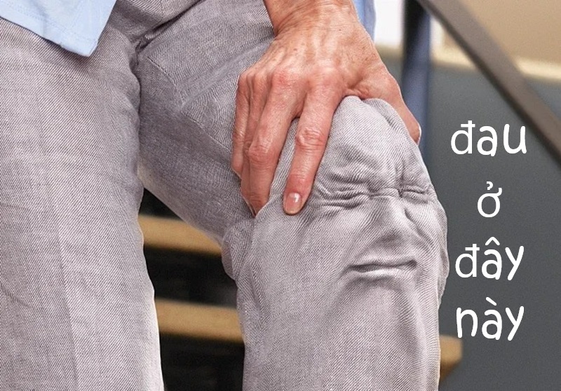 meme đau ở đây này 26