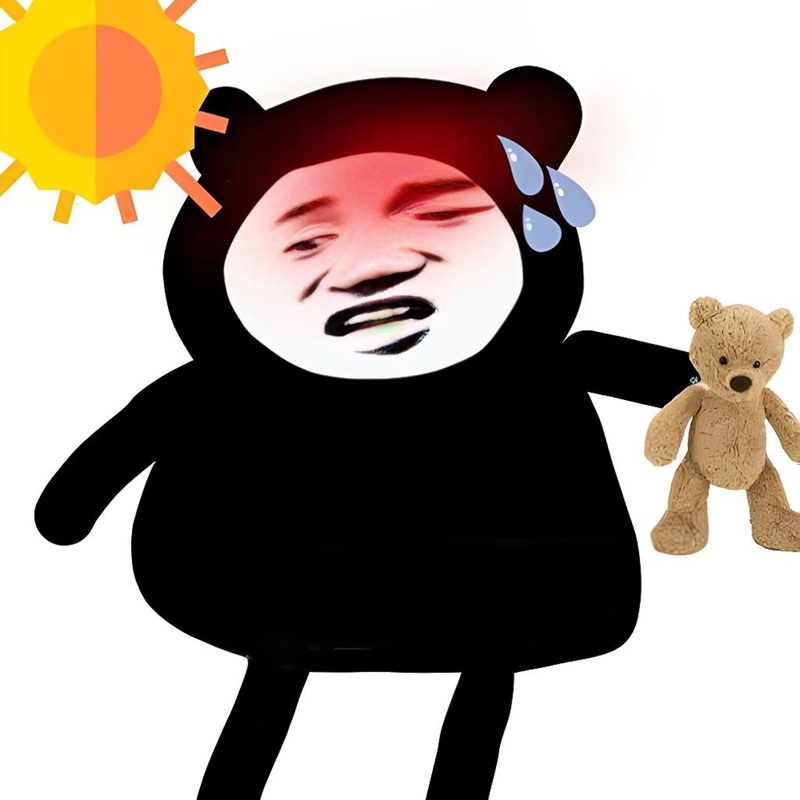meme gấu trúc bựa 11