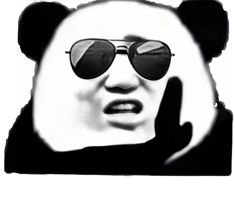 meme gấu trúc bựa 13