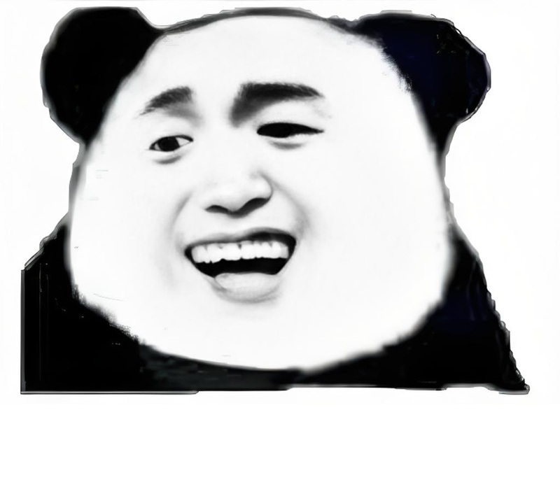 meme gấu trúc bựa 16