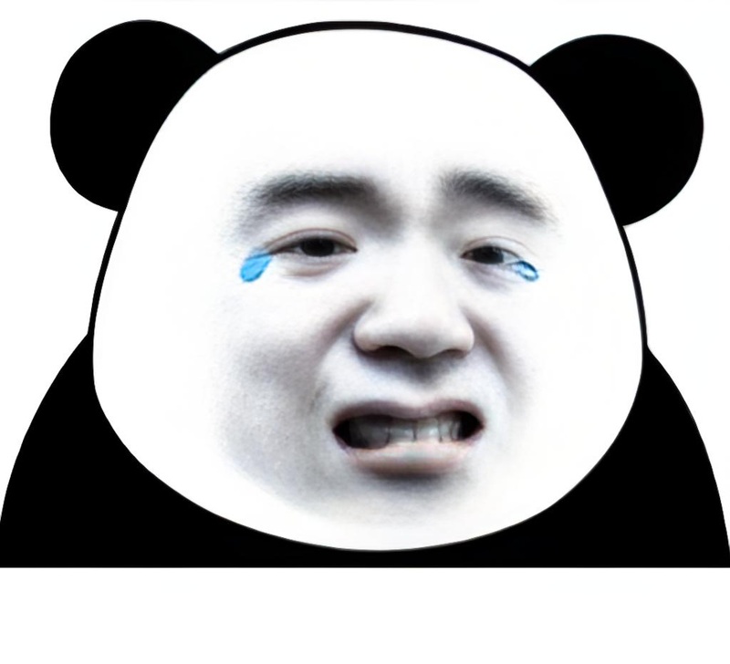 meme gấu trúc bựa 18
