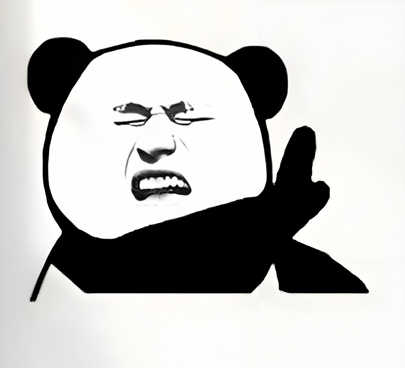 meme gấu trúc đắp chăn​