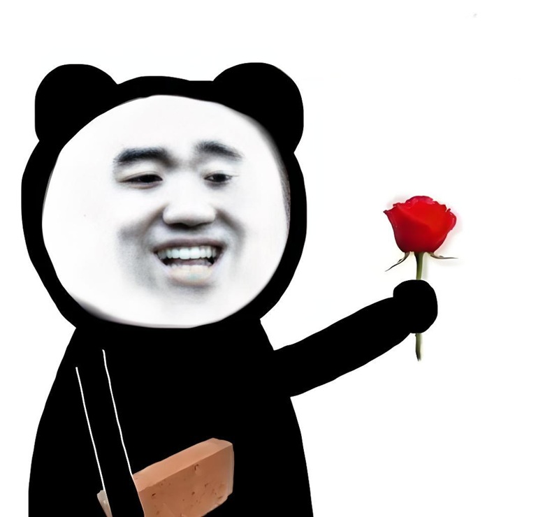meme gấu trúc bựa 23