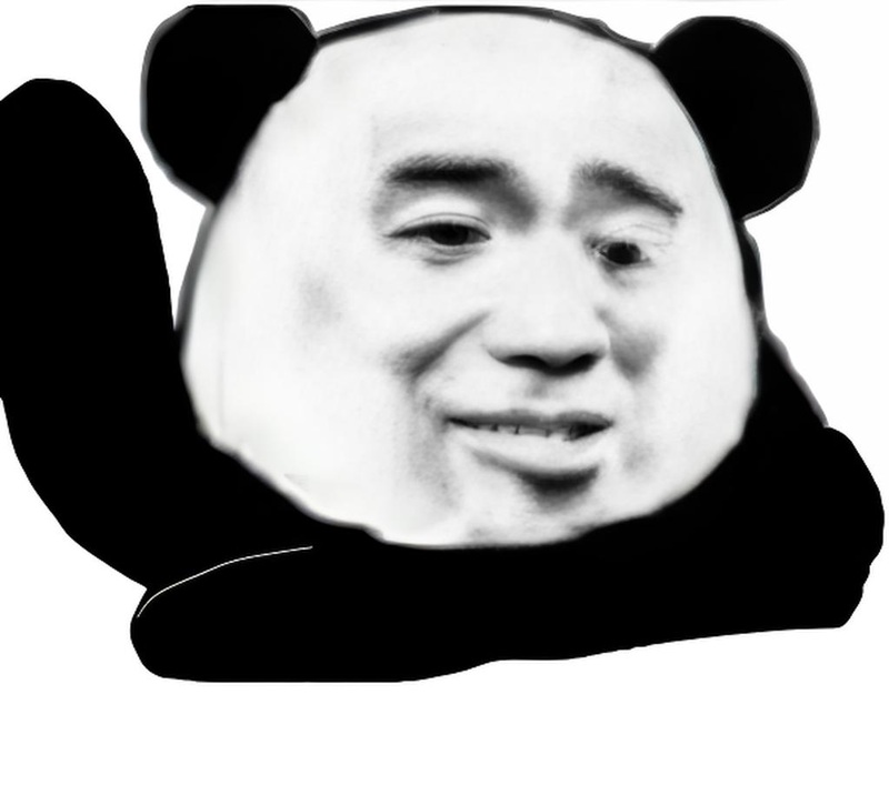 meme gấu trúc bựa 24