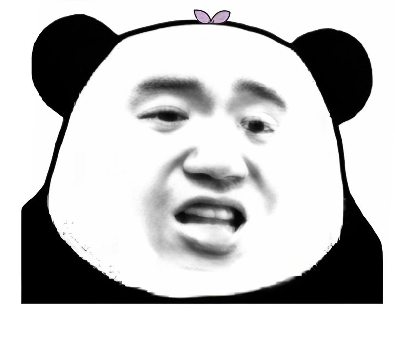 meme gấu trúc bựa 26