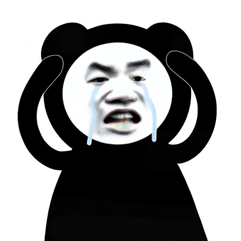 meme gấu trúc bựa 27