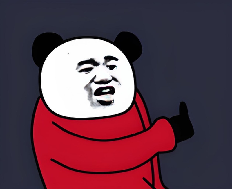 meme gấu trúc bựa 29
