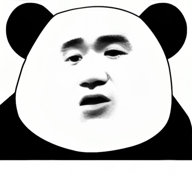 meme gấu trúc bựa 6