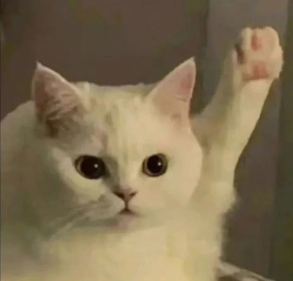 meme giơ tay (1)