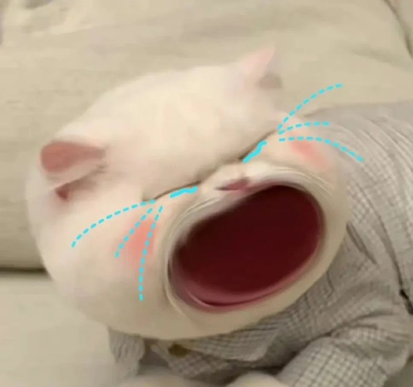meme há mồm (26)