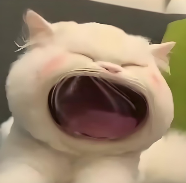 meme há mồm (32)