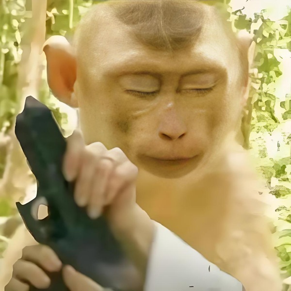 ảnh meme hài bựa