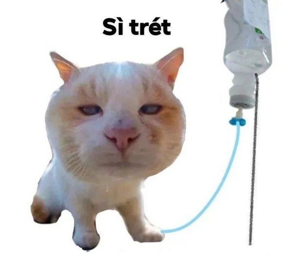 meme hài bựa 11