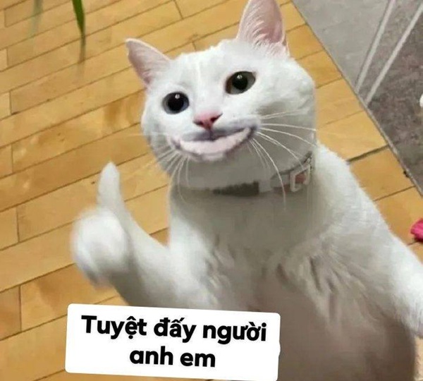 meme hài bựa 12