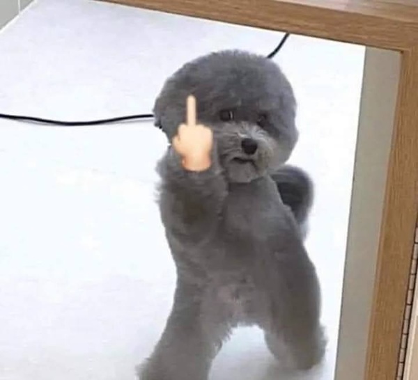 meme hài bựa 19