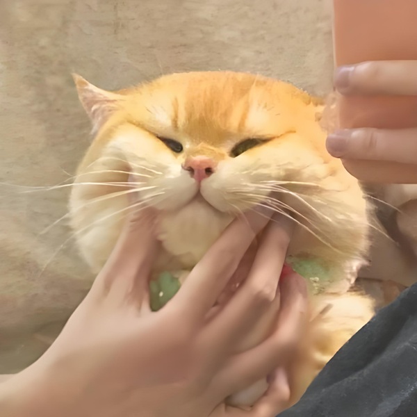 meme hài bựa 28