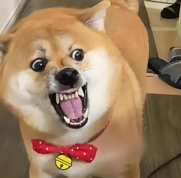 meme hài bựa 32