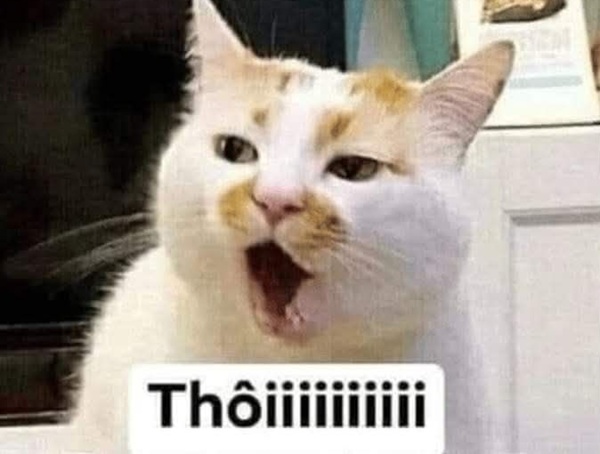 meme hài bựa 36