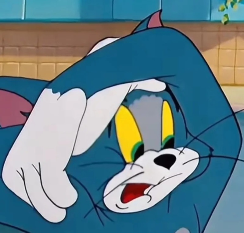 meme hoảng hốt 7