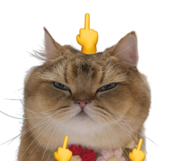 meme ngón giữa 18