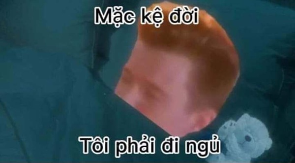 meme ngủ 25
