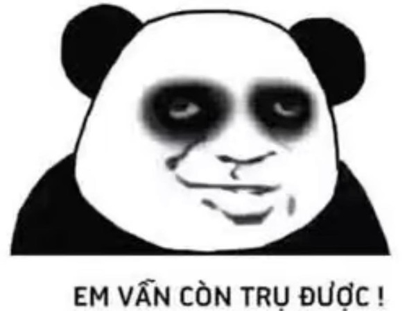 meme ngủ 26