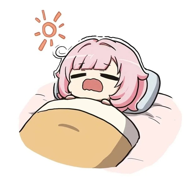 meme ngủ 28