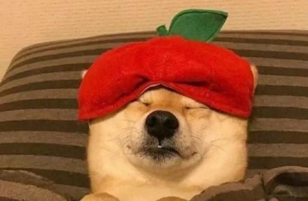 meme ngủ 7