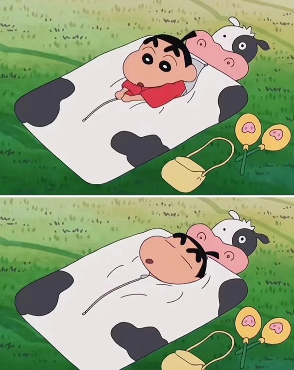meme ngủ 9