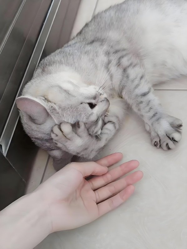 meme ôm đầu (26)