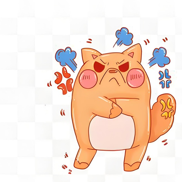 meme tức giận 12