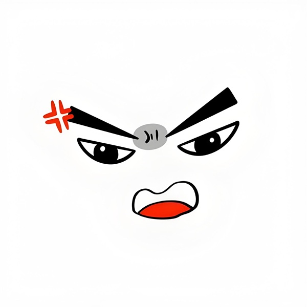 meme tức giận 20