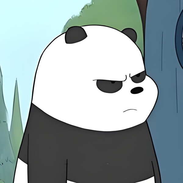 meme tức giận 24