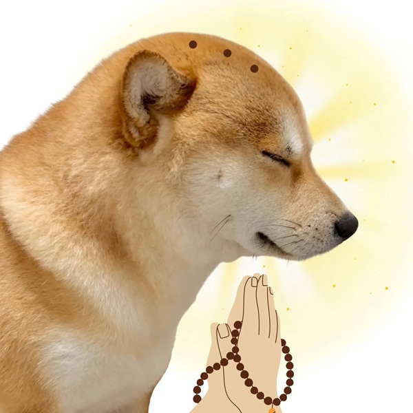 mô phật meme (13)