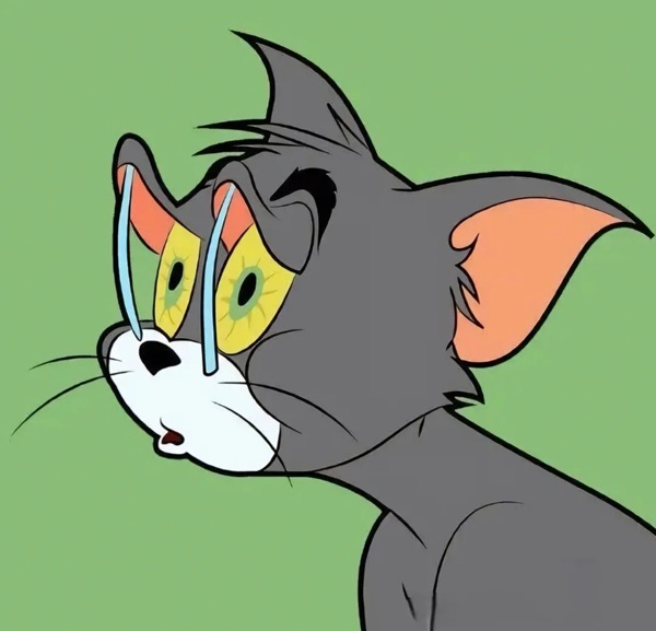 tom and jerry meme 12