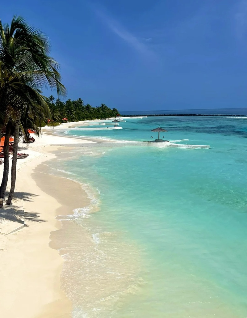 ảnh biển chill 14