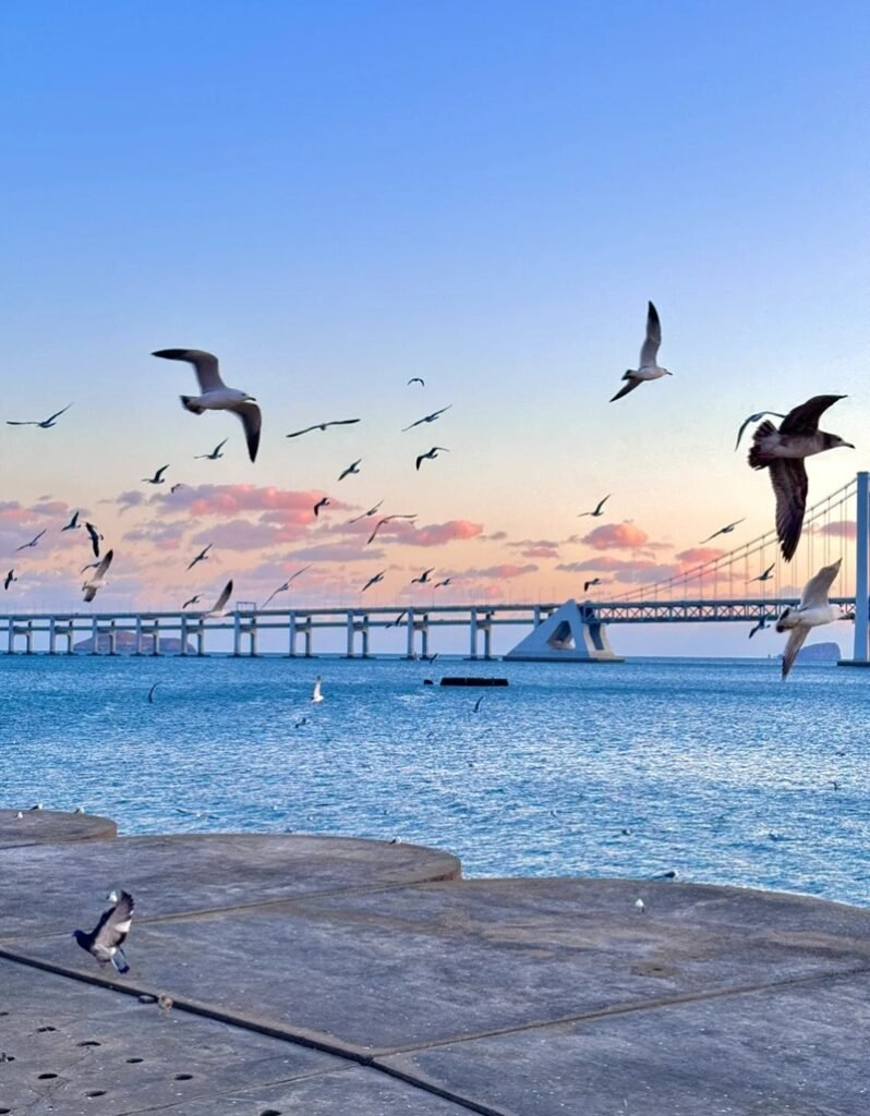 ảnh biển chill 20