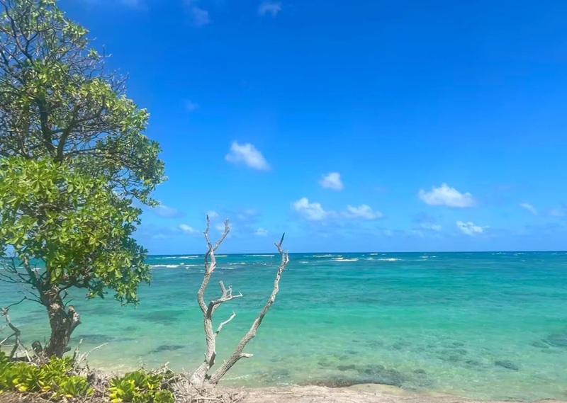 ảnh biển chill 27