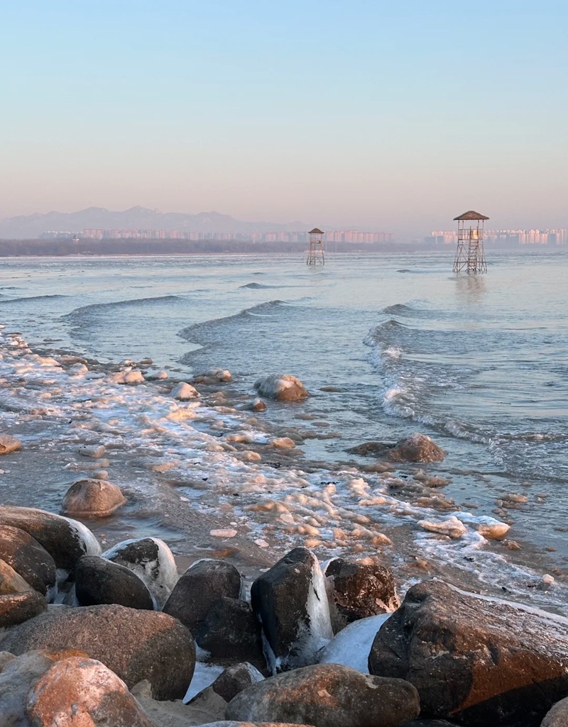 ảnh biển chill 5