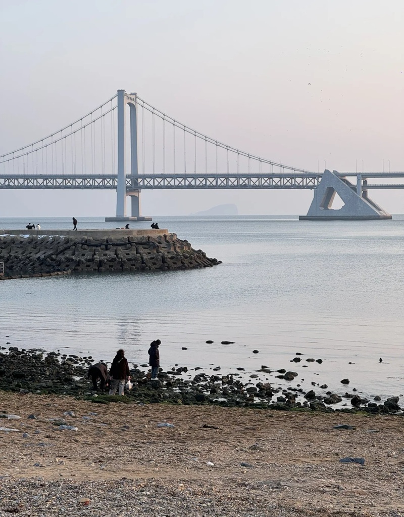 ảnh biển chill 8