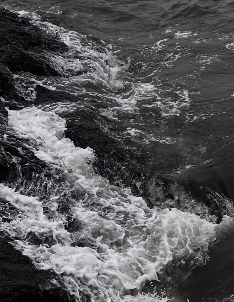 ảnh nền đen trắng biển