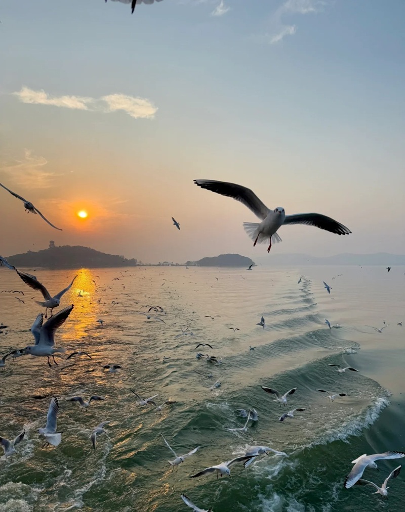 hình ảnh bầu trời hoàng hôn 34