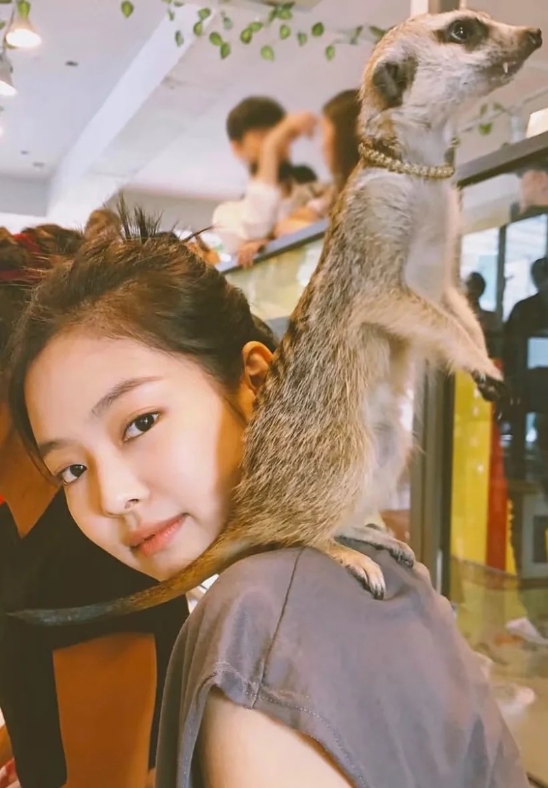 ảnh jennie dễ thương 19