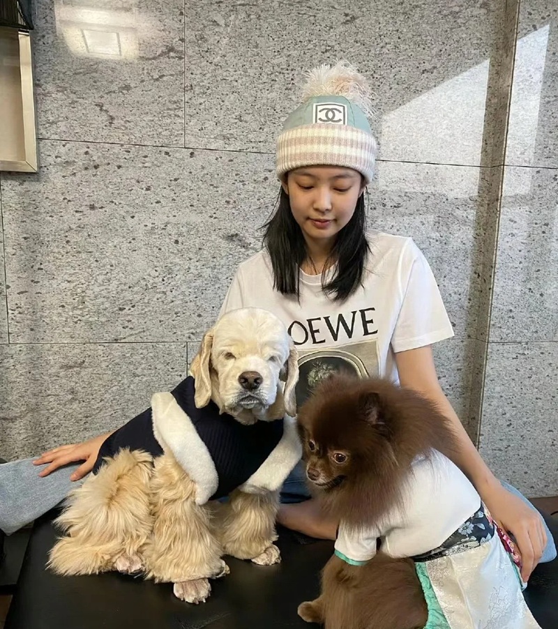 ảnh jennie dễ thương 24