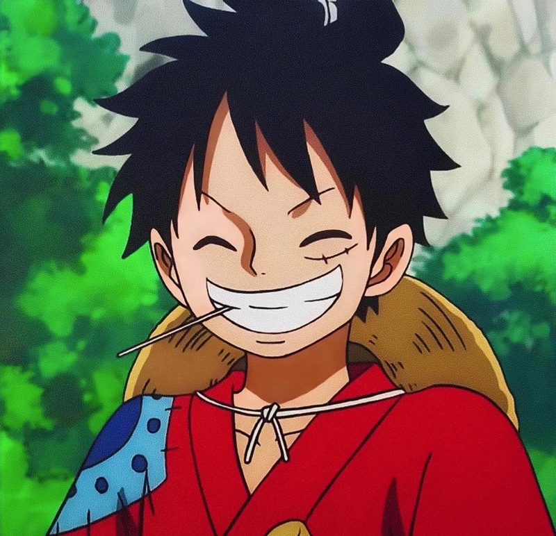 ảnh luffy cười ngầu 14