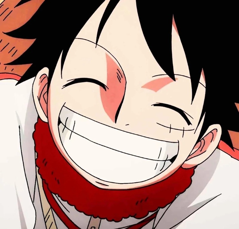 ảnh luffy cười ngầu 19